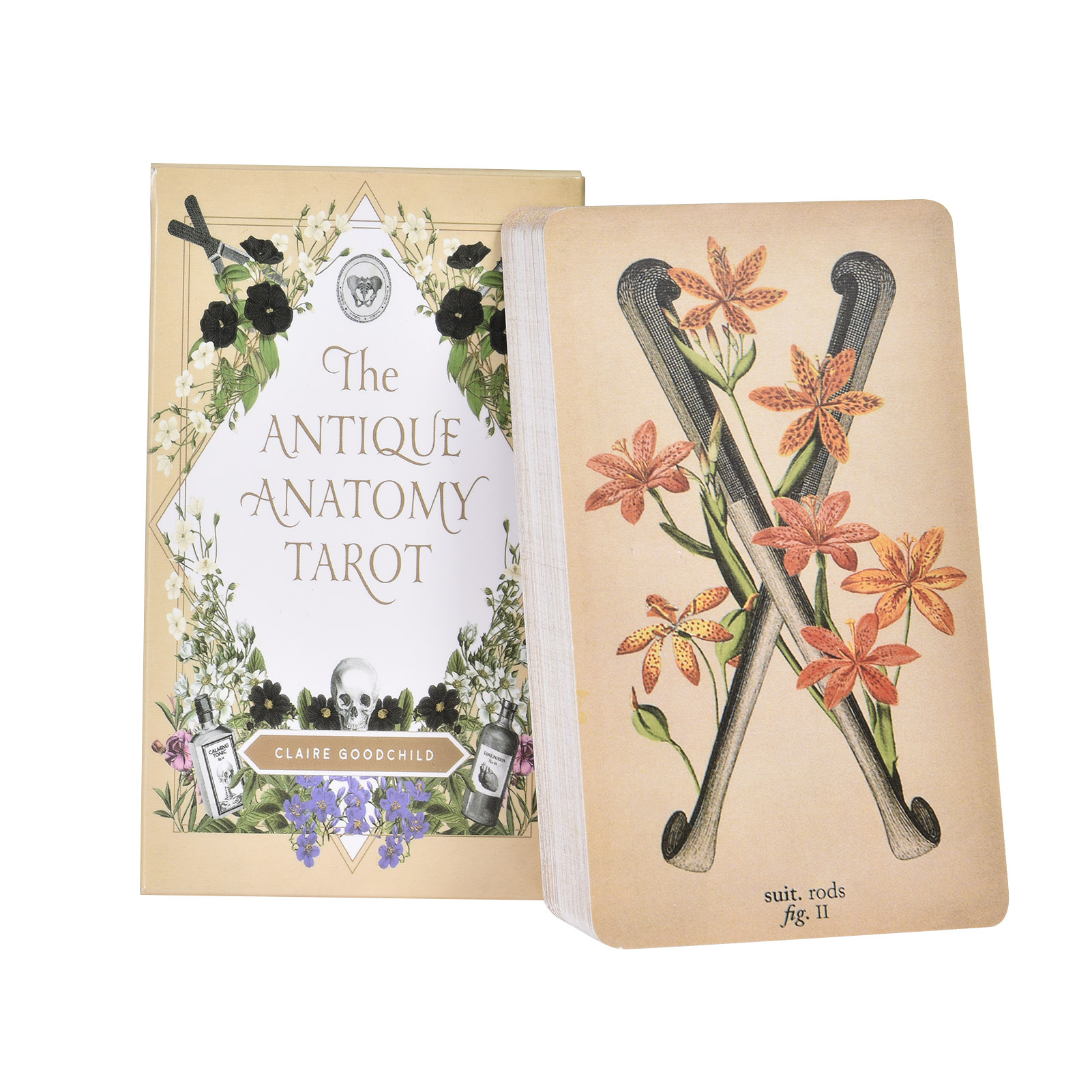 Les Cartes de Tarot « Anatomy  - Board Game Pdf avis et prix