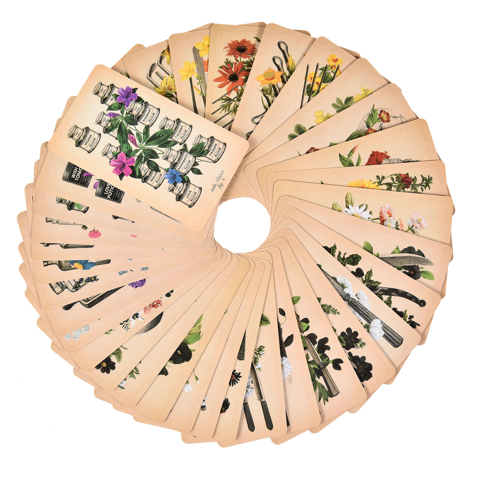 Les Cartes de Tarot « Anatomy  - Board Game Pdf avis et prix